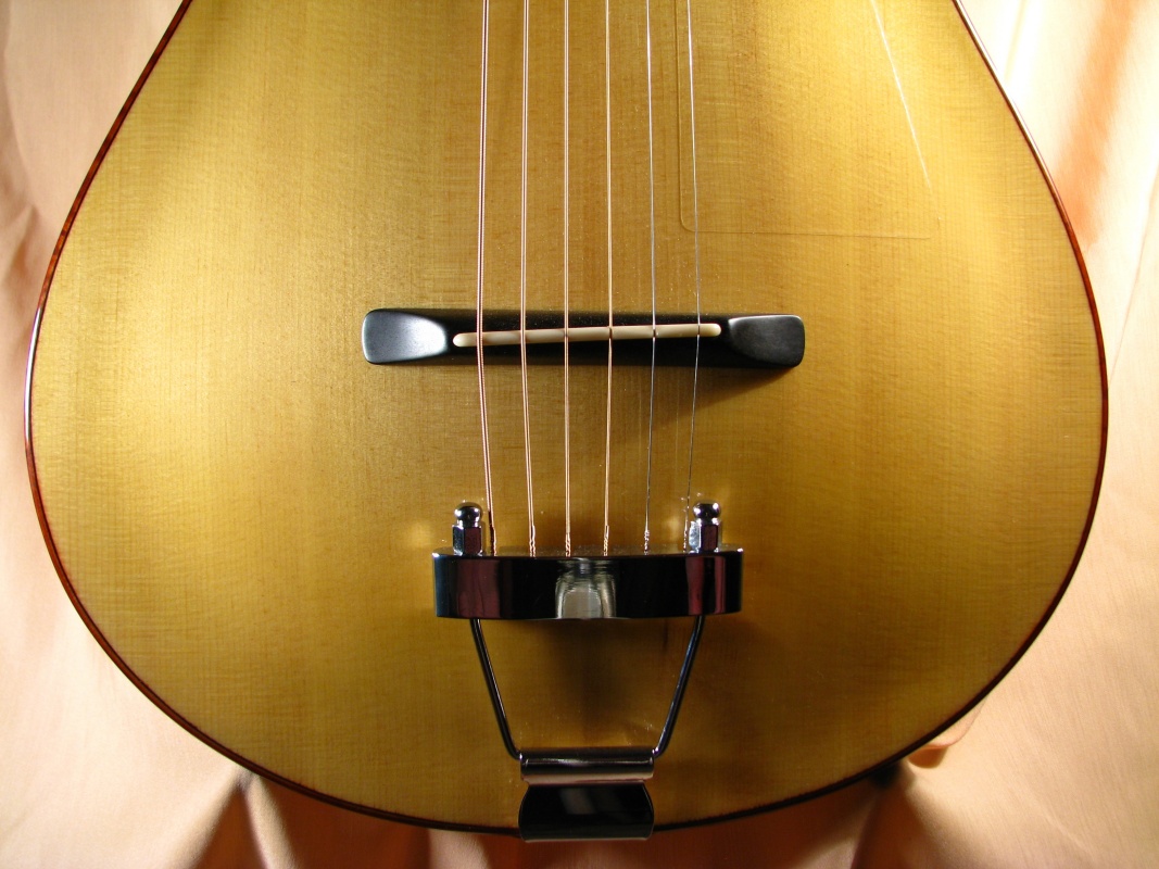 Laughlin Archtop Guitar